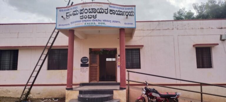 ಸರಕಾರಿ ಜಾಗೆ ಖಾಸಗಿ ವ್ಯಕ್ತಿಗಳಿಗೆ ಪರಭಾರೆ; ಪಿಡಿಓ ವಿರುದ್ಧ ತನಿಖೆಗೆ ‌ಆದೇಶ