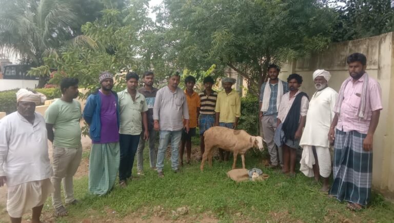 ಕುರಿಗಳ್ಳರನ್ನು ಹಿಡಿದು ಪೊಲೀಸರಿಗೊಪ್ಪಿಸಿದ ಕುರಿಗಾಹಿಗಳು