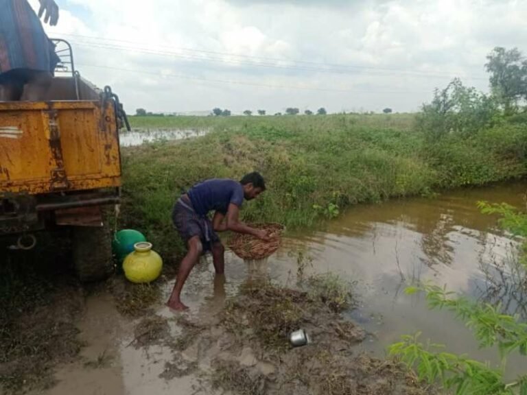 ಅತಿಯಾದ ಮಳೆಯಿಂದ ಬೆಳೆ ಹಾಳು; ರೈತರ ಗೋಳು ಕೇಳುವರ‍್ಯಾರು?