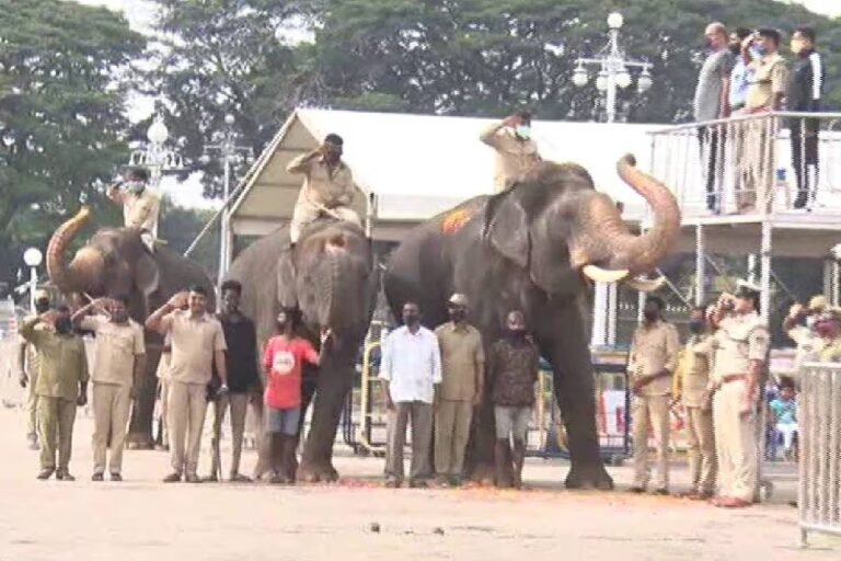 Mysore dasara: ಗಜಪಡೆಗಳಿಂದ ಜಂಬೂ ಸವಾರಿ ರಿಹರ್ಸಲ್