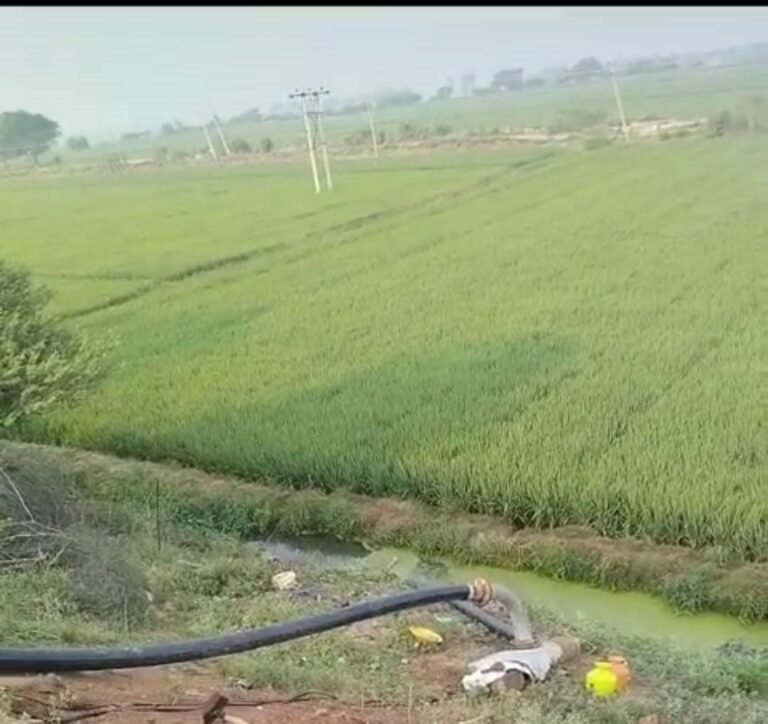 ಕೆರೆಯ ಕುಡಿಯುವ ನೀರು ಭತ್ತದ ಗದ್ದೆಗೆ: ಅಧಿಕಾರಿಗಳ ದಿವ್ಯ ಮೌನ