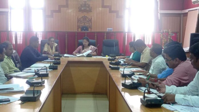Revenue department progress review meeting by Collector