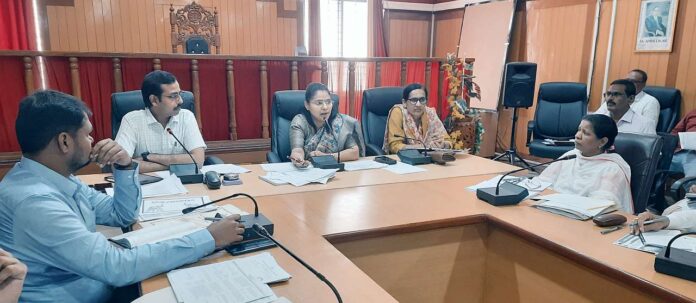 District Disaster Management Authority meeting