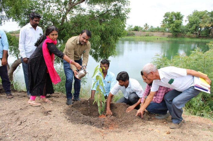 World Environment Day