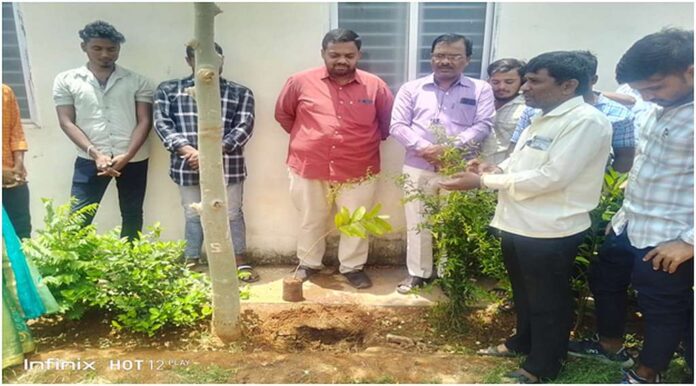 World Environment Day Program