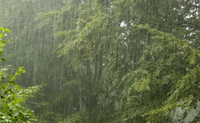 Karnataka Rains: ಇಂದಿನಿಂದ ಕರ್ನಾಟಕದ ಈ 15 ಜಿಲ್ಲೆಗಳಲ್ಲಿ ಮಳೆ ಜೋರು!