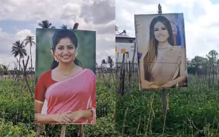 ಟೊಮ್ಯಾಟೋ ತೋಟಕ್ಕೆ ದೃಷ್ಟಿಯಾಗದಂತೆ ರಚಿತಾ ರಾಮ್, ಸನ್ನಿ ಲಿಯೋನ್ ಫೋಟೋ ಹಾಕಿದ ರೈತ!