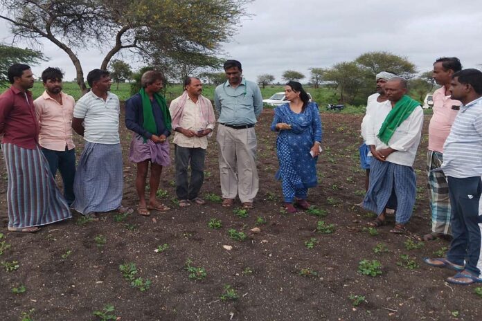 Deputy Director of Agriculture, Department of Agriculture visited farmers' fields