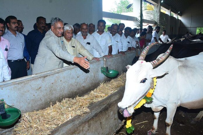 Inauguration of various works of Rurban project in Kurtakoti