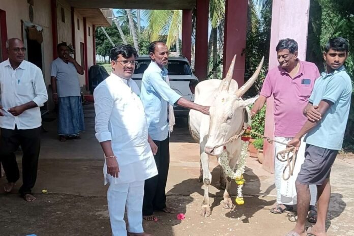 Launch of free vaccination program for cattle