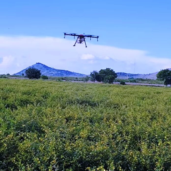 Farmers turn to drones to protect crops