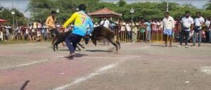 State-level Jeddah Jeddah ``Battle of the Tigers'' program