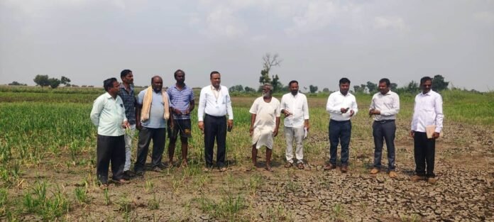 Crop damage inspection by Tehsildar