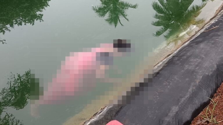 ಕೌಟುಂಬಿಕ ಕಲಹ: ಕೃಷಿಹೊಂಡಕ್ಕೆ ಬಿದ್ದು ಮಹಿಳೆ ಆತ್ಮಹತ್ಯೆ!