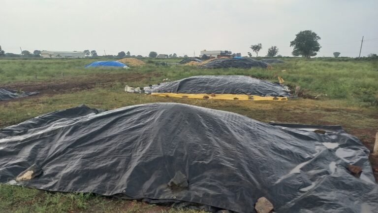 ಒಕ್ಕಲು ಮಾಡಿ ಒಣ ಹಾಕಿದ ಫಸಲಿಗೆ ಮಳೆರಾಯನ ಭೀತಿ: ಬೆಳೆ ಸಂರಕ್ಷಣೆಗೆ ಪರದಾಡುತ್ತಿರುವ ರೈತರು