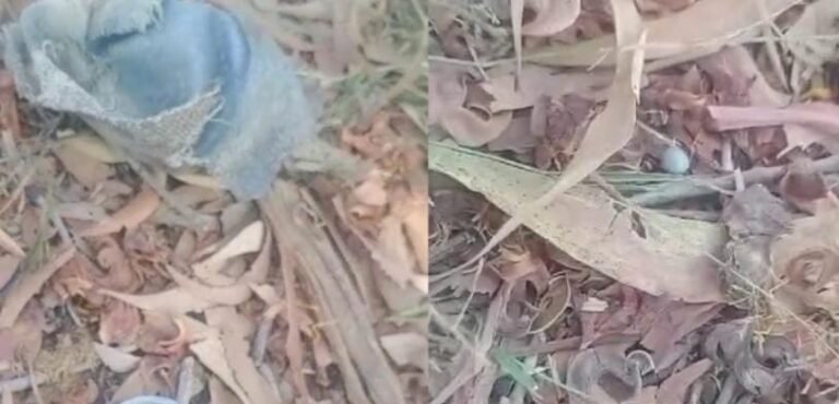 ಸಕ್ಕರೆ ನಾಡಲ್ಲಿ ನಾಡಬಾಂಬ್ ಸ್ಪೋಟ: ಇಬ್ಬರು ವಿದ್ಯಾರ್ಥಿಗಳು ಗಂಭೀರ!