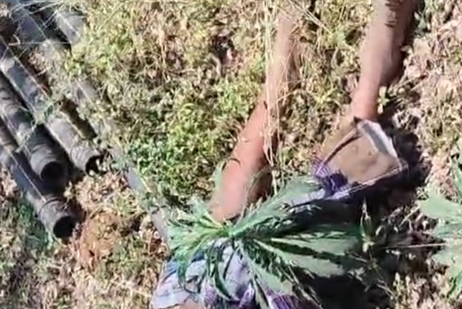 Screenshot 2025-03-18 173851