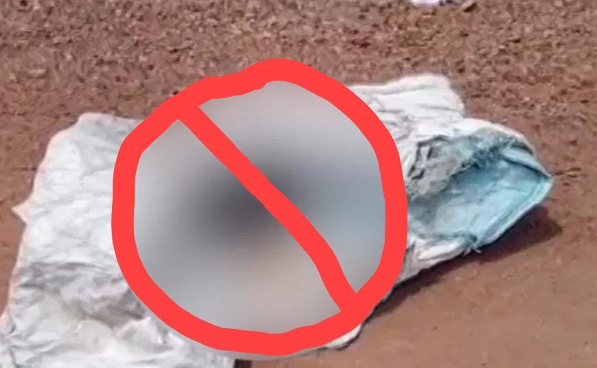 Cow: ಕಾರವಾರದಲ್ಲಿ ಗರ್ಭ ಧರಿಸಿದ್ದ ಹಸು ಕೊಂದ ದುರುಳರು!