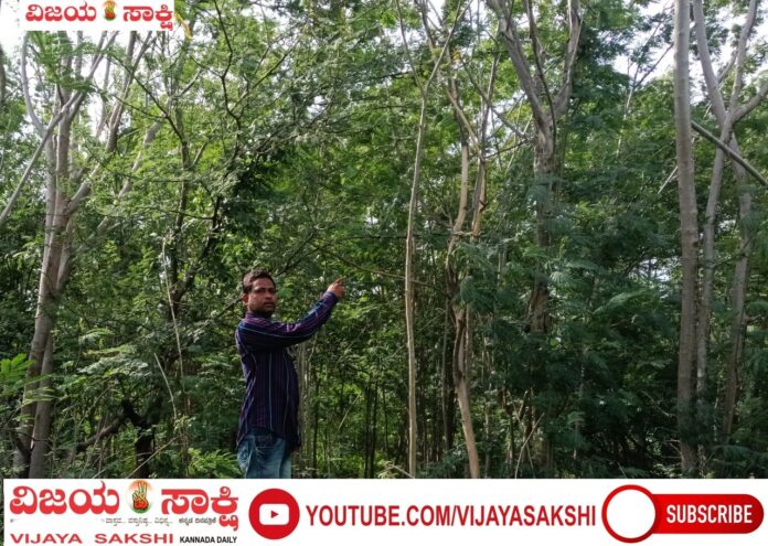 page-2__article-A (1)