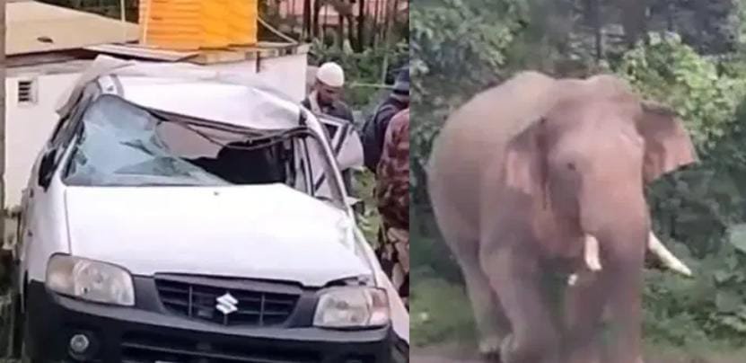 ನಾಯಿಗಳ ಮೇಲಿನ ಸಿಟ್ಟಿಗೆ ಆಲ್ಟೋ ಕಾರನ್ನೇ ಎತ್ತಿ ಬಿಸಾಡಿದ ಒಂಟಿ ಸಲಗ!