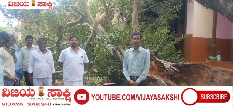 ಧರೆಗುರುಳಿದ ಅರಳಿ ಮರ; ತಪ್ಪಿದ ಅನಾಹುತ
