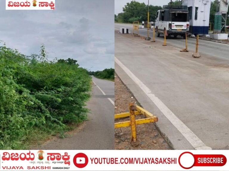 ರಸ್ತೆಯುದ್ದಕ್ಕೂ ಚಾಚಿದ ಮುಳ್ಳು ಕಂಟಿ: ವಾಹನ ಸವಾರರು ಪ್ರಾಣ ಭಯದಲ್ಲೇ ಸಂಚರಿಸುವ ಸ್ಥಿತಿ