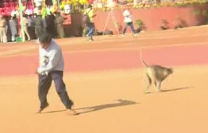 Screenshot 2025-11-01 112939