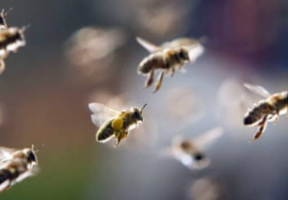 Screenshot 2025-11-03 173525