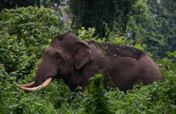 Screenshot 2025-11-11 131504