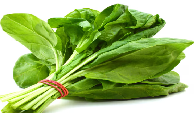 Screenshot 2025-11-25 165322