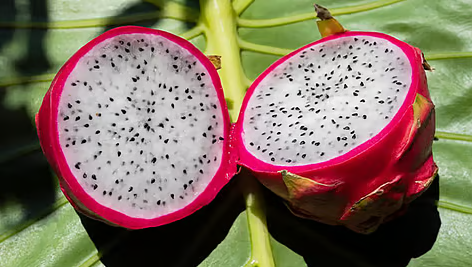 Screenshot 2025-11-26 155504