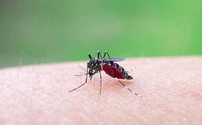 WhatsApp Image 2025-11-06 at 8.49.55 PM