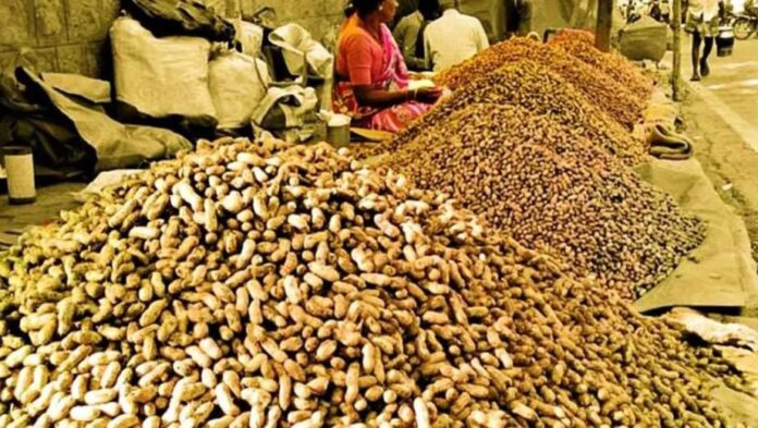 WhatsApp Image 2025-11-08 at 10.03.09 AM