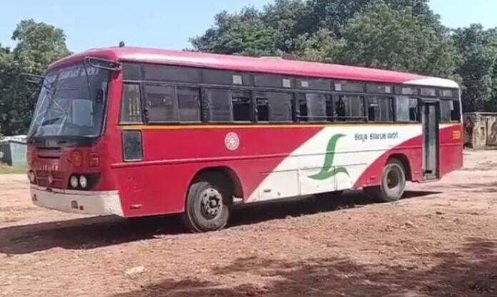 WhatsApp Image 2025-11-08 at 7.10.00 PM