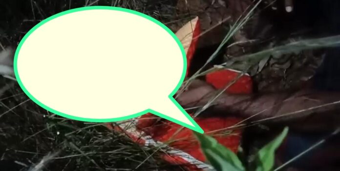 WhatsApp Image 2025-11-08 at 8.49.03 PM