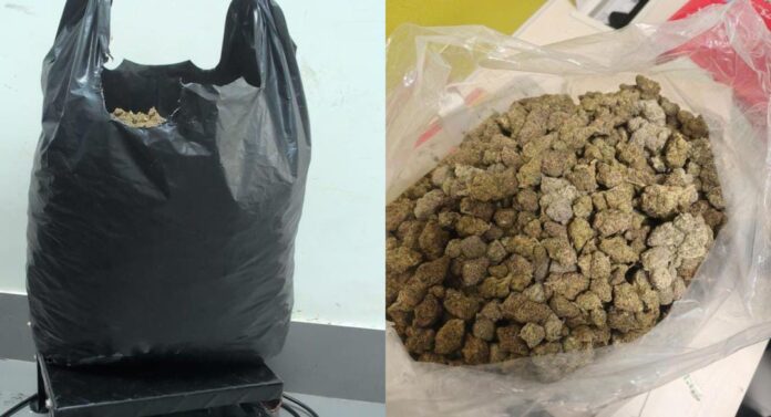 WhatsApp Image 2025-11-12 at 10.42.02 AM