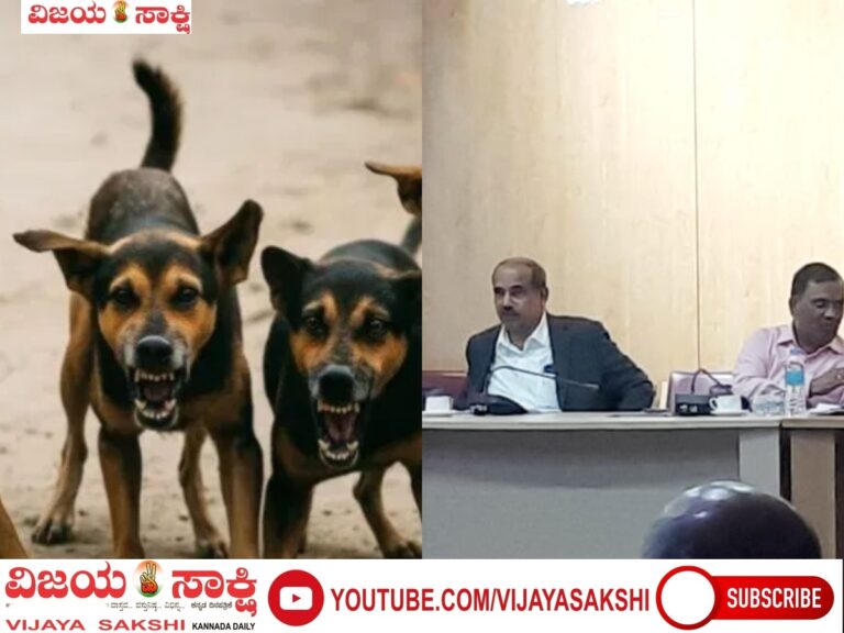 ಸಮಸ್ಯೆ ಗಂಭೀರವಾಗುವ ಮುನ್ನ ಕ್ರಮ ಕೈಗೊಳ್ಳಿ: ಜಿಲ್ಲಾಧಿಕಾರಿ ಸಿ.ಎನ್. ಶ್ರೀಧರ