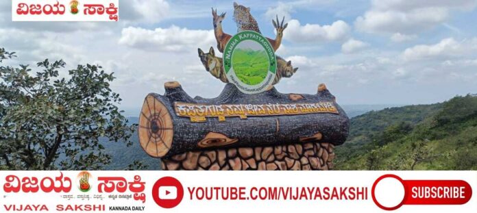 page-4__LEAD-_dambal-kappattagudda-B (1)