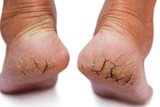 Screenshot 2025-12-05 181212