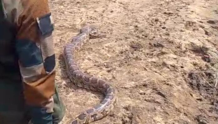 WhatsApp Image 2025-12-01 at 11.11.50 PM