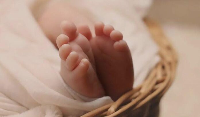 WhatsApp Image 2025-12-07 at 2.27.56 PM