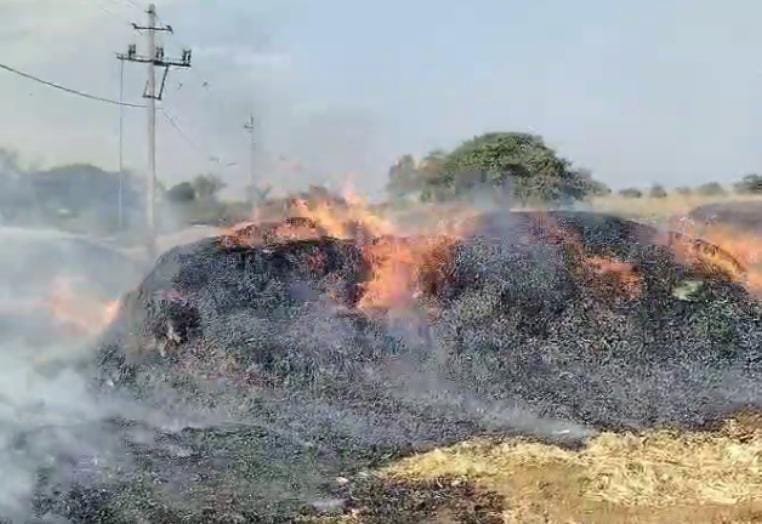 ಗದಗ| ಆಕಸ್ಮಿಕ ಬೆಂಕಿ: ಮೆಕ್ಕೆಜೋಳದ ರಾಶಿ ಸುಟ್ಟು ಭಸ್ಮ, ಲಕ್ಷಾಂತರ ರೂ. ಬೆಳೆ ಹಾನಿ