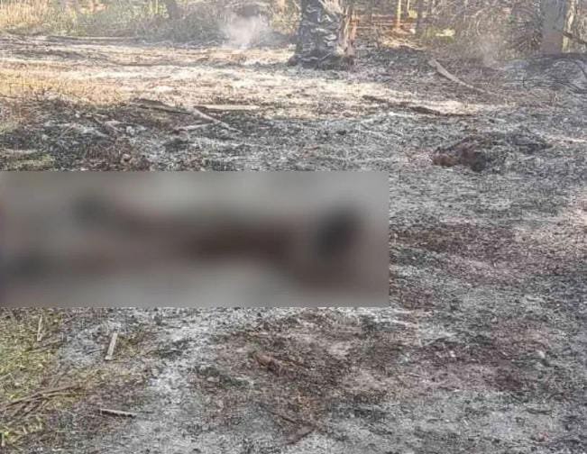 ದಾವಣಗೆರೆಯಲ್ಲಿ ಅಗ್ನಿ ದುರಂತ; ಬೆಳೆ ರಕ್ಷಿಸಿಕೊಳ್ಳಲು ಹೋಗಿ ರೈತ ಸಜೀವದಹನ!