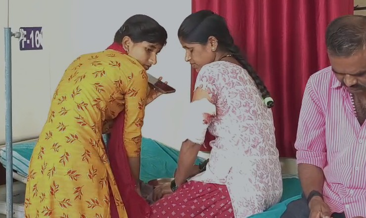 ಧಾರವಾಡ- ಶಿರಡಿ ನಗರದಲ್ಲಿ ಹುಚ್ಚು ನಾಯಿ ದಾಳಿ: 9 ಮಂದಿ ಆಸ್ಪತ್ರೆಗೆ ದಾಖಲು, ಸ್ಥಳೀಯರಲ್ಲಿ ಆತಂಕ