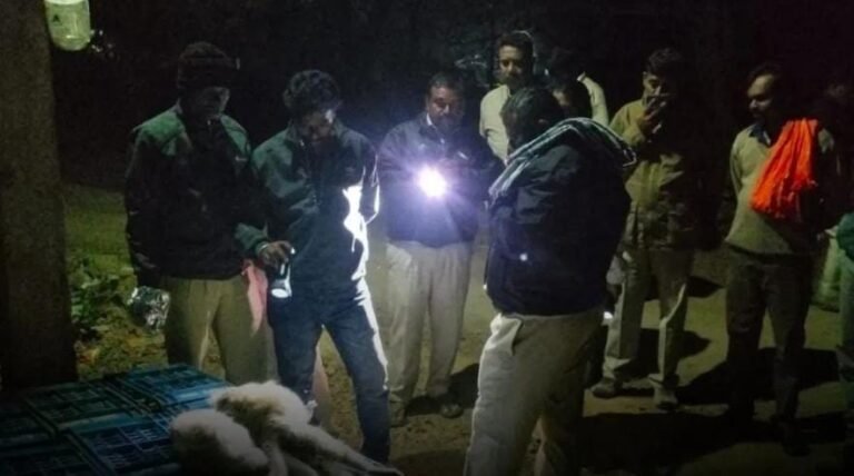 ತುಮಕೂರಿನಲ್ಲಿ ನಿಗೂಢವಾಗಿ 11 ಮಂಗಗಳು ಸಾವು! ವಿಷಪ್ರಾಶನದ ಶಂಕೆ?