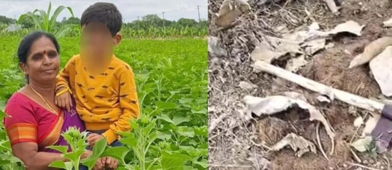 ಹಾಡಹಗಲೇ ಕೊಡಲಿಯಿಂದ ಕೊಚ್ಚಿ ವೃದ್ಧ ಮಹಿಳೆಯ ಬರ್ಬರ ಕೊಲೆ!