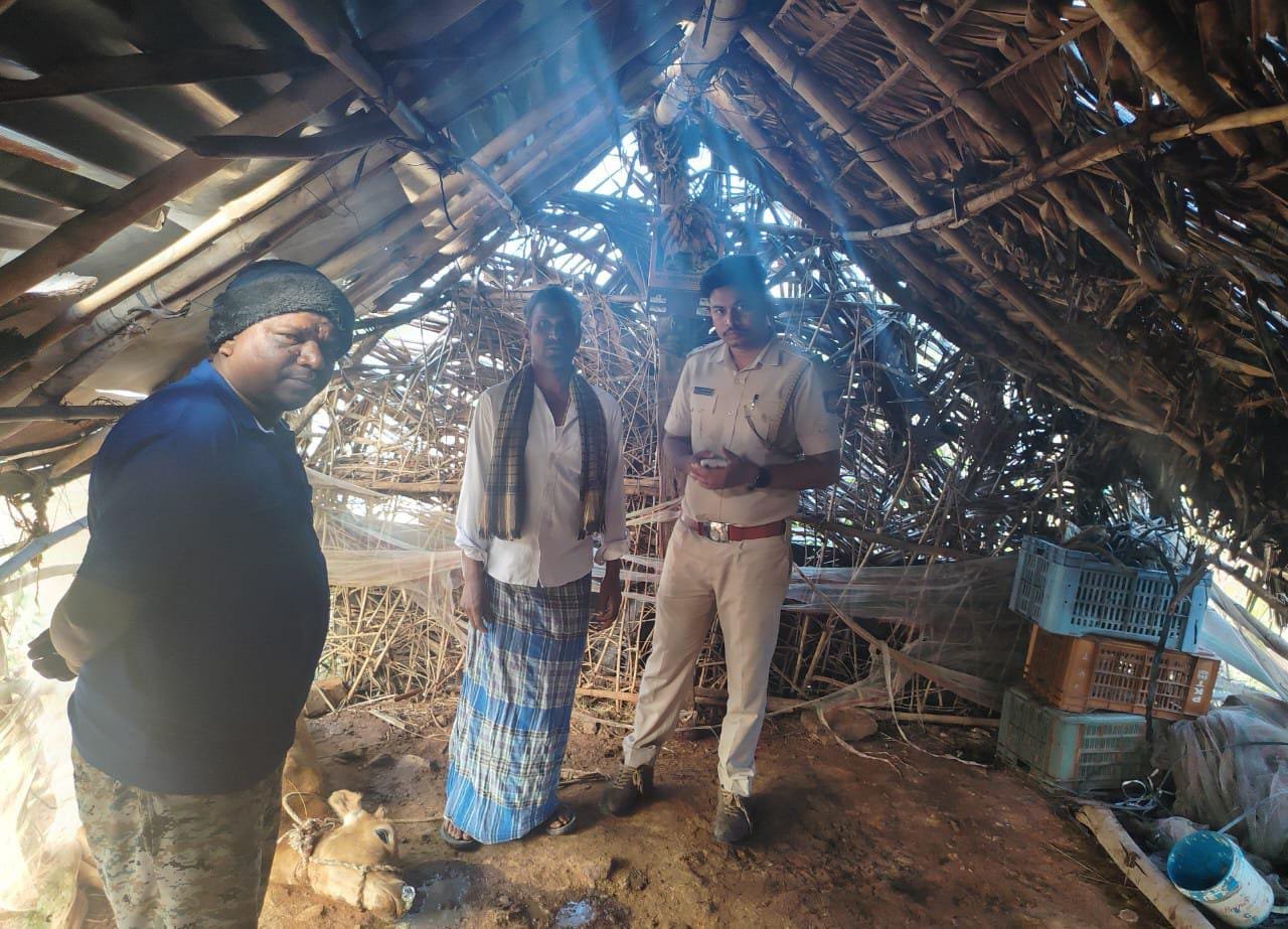 ಚಾಮರಾಜನಗರ: ಚಿರತೆ ದಾಳಿಗೆ ಕೊಟ್ಟಿಗೆಯಲ್ಲಿದ್ದ ಹಸು ಬಲಿ, ಗ್ರಾಮಸ್ಥರಲ್ಲಿ ಆತಂಕ!