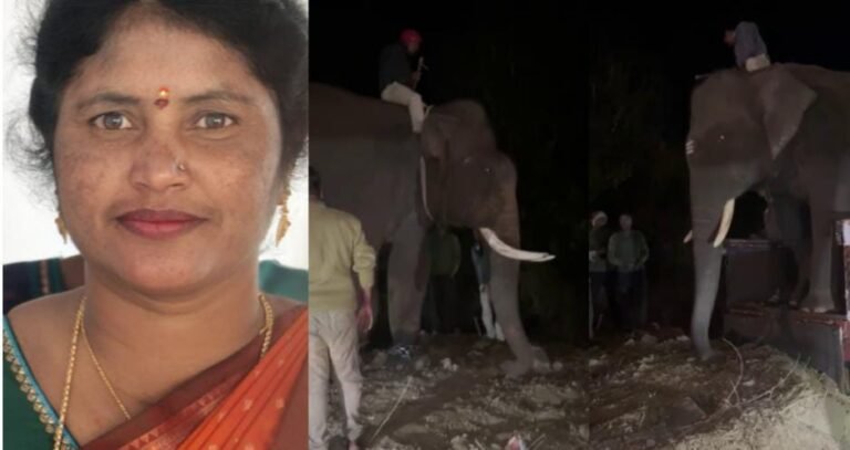 ಸಕಲೇಶಪುರ ಬಳಿ ಮಹಿಳೆ ಸಾವು ಪ್ರಕರಣ: ಕಾಡಾನೆ ಸೆರೆಗೆ ಬಂದಿಳಿದ ಕುಮ್ಕಿ ಟೀಮ್!