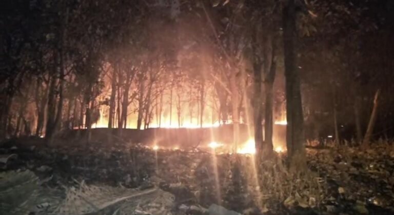 ಕೊಟ್ಟಿಗೆಪಾಳ್ಯದಲ್ಲಿ ಕಸದ ರಾಶಿಗೆ ಬೆಂಕಿ, ನೀಲಗಿರಿ ತೋಪಿಗೆ ವ್ಯಾಪಿಸಿದ ಅಗ್ನಿ ಜ್ವಾಲೆ!