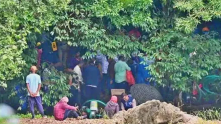 ಧರ್ಮಸ್ಥಳ ಬುರುಡೆ ಪ್ರಕರಣ: ಬಂಗ್ಲೆಗುಡ್ಡದಲ್ಲಿ ಸಿಕ್ಕ ಅಸ್ಥಿಪಂಜರಗಳು FSLಗೆ ರವಾನೆ